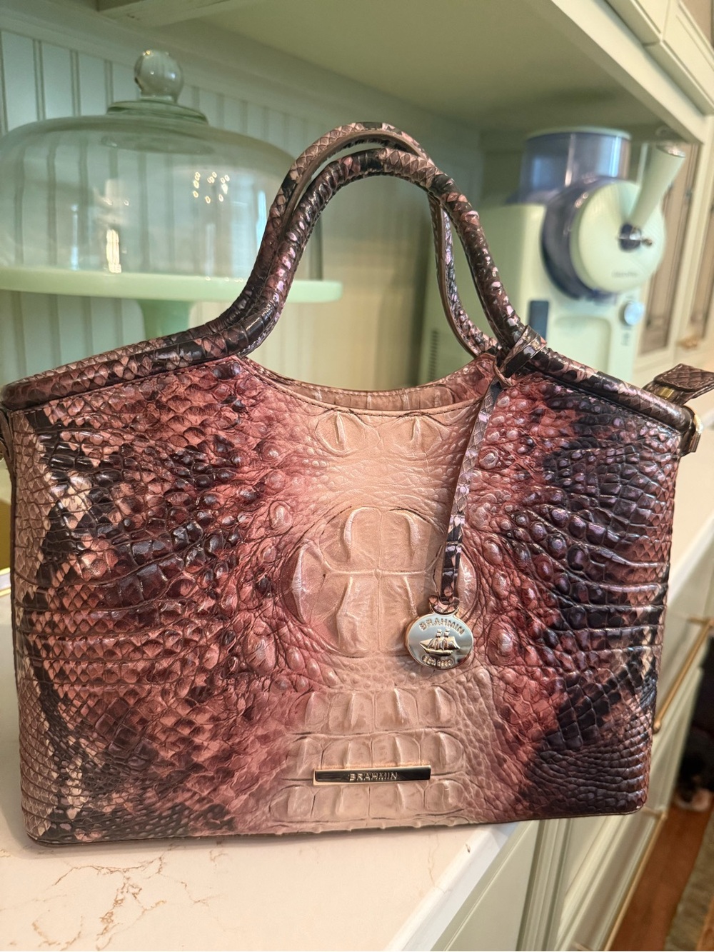 Brahmin Med Size Leather Handbag